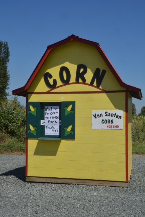 corn shack